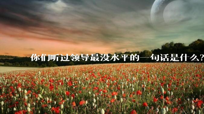 你们听过领导最没水平的一句话是什么？