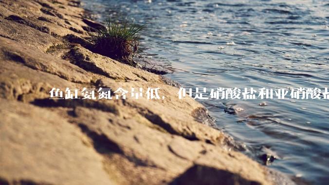 鱼缸氨氮含量低，但是硝酸盐和亚硝酸盐爆表，已经一个多周了，咋办？