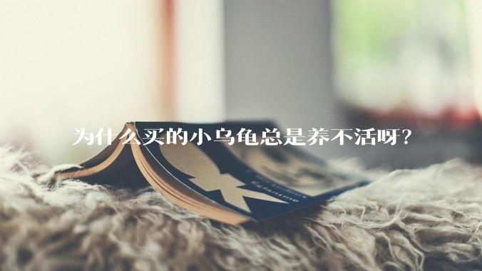 为什么买的小乌龟总是养不活呀？